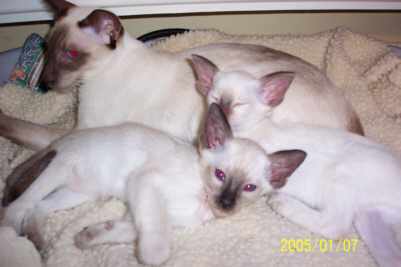 100_0753.jpg (10434 bytes)