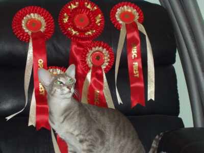 2005 Ramasses Lancs Rosetts.jpg (13267 bytes)