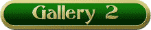gal2.gif (2395 bytes)