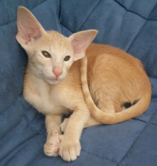 image001.jpg (165629 bytes)