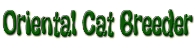 oriental cat breeder