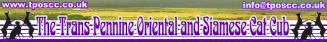 The Transpennine Oriental and Siamese Cat Club